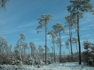Wyzyna lubelska © M. G. Koperkiewicz