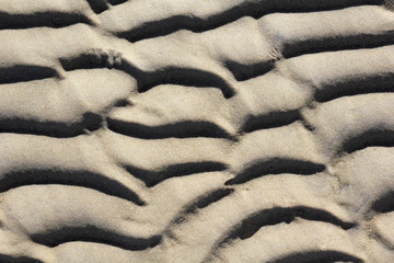 Structure in the sand of Wadden Sea at low tide