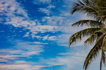 Beautiful seascape. Sea, mountains, sky, sunset and palm trees. Beautiful places of the island of Phuket, Thailand.