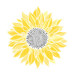 Sunflower.Sketch. Hand draw vector illustration, isolated floral element for design on white background.Silhouette.
