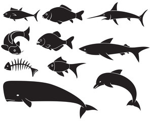 fish icons set - black silhouettes (dolphin, carp, shark, whale, swordfish, piranha)
