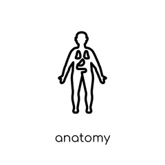 Anatomy icon. Trendy modern flat linear vector Anatomy icon on white background from thin line Gym and fitness collection