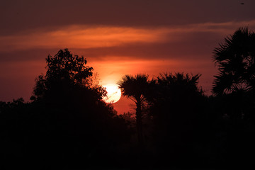 Kambodscha - Sonnenuntergang östlich von Siem Reap