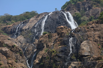 Dudhsagar Waterfall looking up to the top 5839