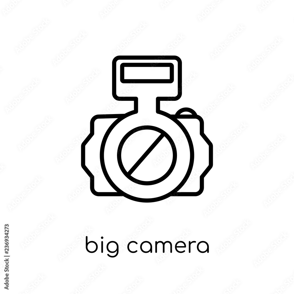 Poster big camera icon. trendy modern flat linear vector big camera icon on white background from thin line