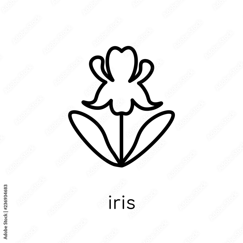Poster iris icon. trendy modern flat linear vector iris icon on white background from thin line nature coll
