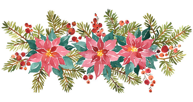 Watercolor arangement of poinsettia, spruce and holy berries for Christmas decoration