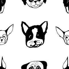 Seamless pattern with Dog breeds. Bulldog, Husky, Alaskan Malamute, Retriever, Doberman, Poodle, Pug, Shar Pei, Dalmatian