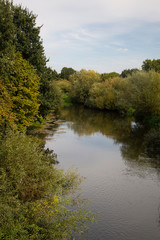 Fototapeta na wymiar Small river bordered by bushes; river Roer, Limburg, Netherlands