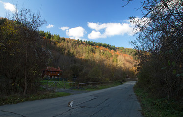 Fototapete bei efototapeten.de bestellen   