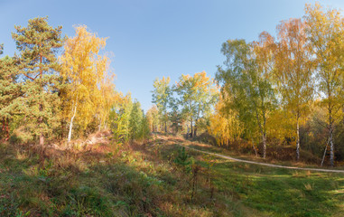 Fototapeta premium Hillside with autumn forest, glade and footpath