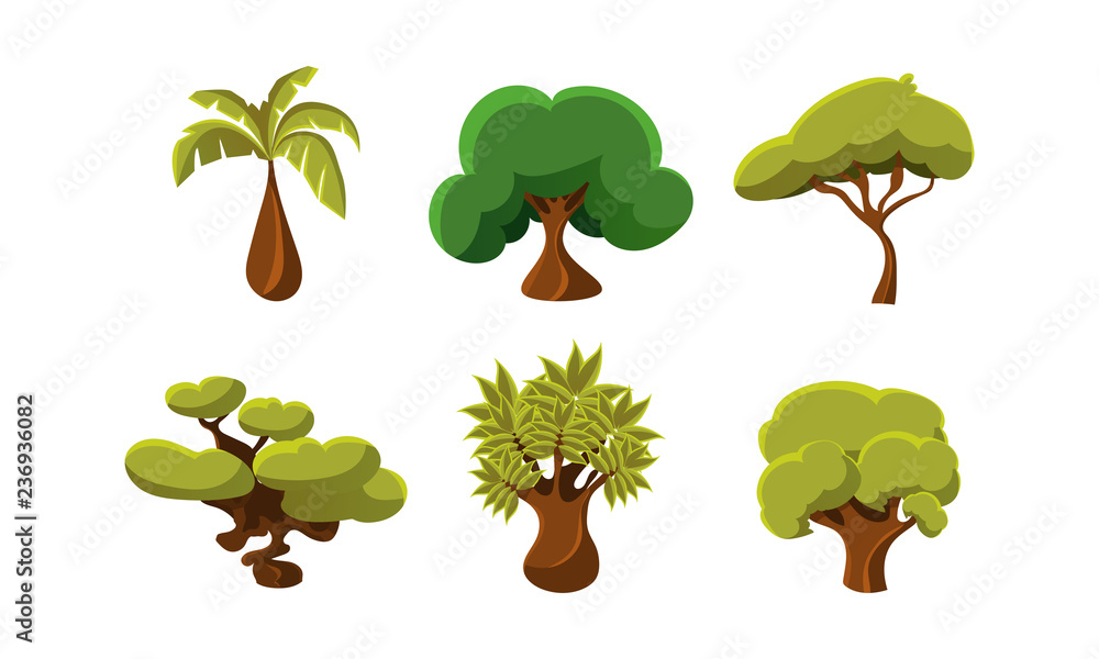 Poster flat vector set of 6 green trees. objects of tropical forests. natural landscape elements for mobile