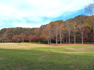 晩秋の公園風景