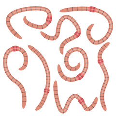 Worms set. Worms in different positions. Worms for fishing.