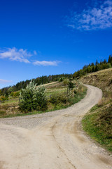 Road in the village. Autumn nature and landscape