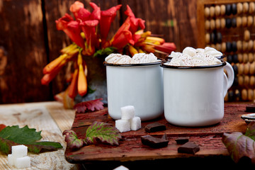 Hot chocolate with marshmallow candies on wooden background.