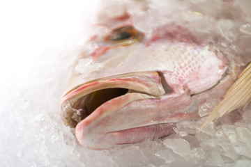 Fresh appetizing chilled fish on ice.