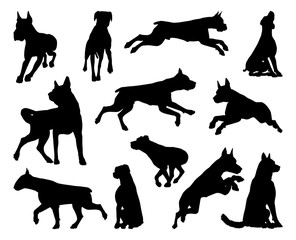 A set of detailed animal silhouettes of a pet dog - obrazy, fototapety, plakaty