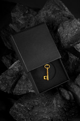 Golden Antique Key in a Black Box - Success Concept
