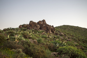 Fototapeta na wymiar Rocks in the desert near Sidi Ifni.