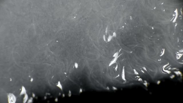 nematode worm colony, which is used to feed fish fry, under a microscope 4K