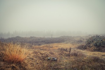 Vast field in fog with silhouette of trees and a tire. Misty morning in the field. 