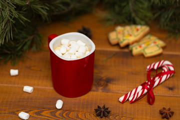 Obraz na płótnie Canvas Winter hot chocolate or cocoa with marshmallow