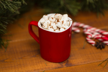 Winter hot chocolate or cocoa with marshmallow