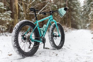 A fatbike standing in the woods in winter