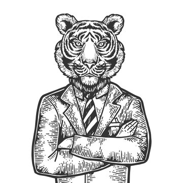 Tiger head businessman engraving vector illustration. Scratch board style imitation. Black and white hand drawn image.