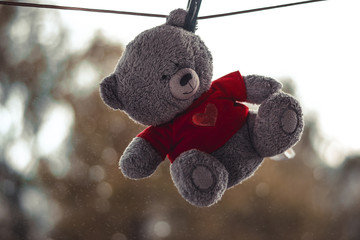 Teddy bear is drying on the rope