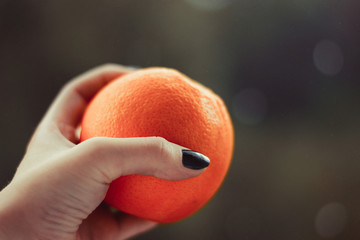  Hand holding fresh orange, healthy fruit high vitamin c. copy space for text.