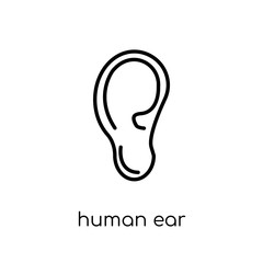 Human Ear icon. Trendy modern flat linear vector Human Ear icon on white background from thin line Human Body Parts collection
