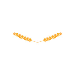 vector illustration of wheat, rye or barley ear with whole grain, yellow wheat, rye or barley crop harvest symbol or icon isolated on white background. Wheat wreath. Bakery symbol.