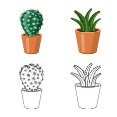 Vector illustration of cactus and pot symbol. Collection of cactus and cacti vector icon for stock.