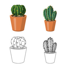 Isolated object of cactus and pot icon. Collection of cactus and cacti stock symbol for web.