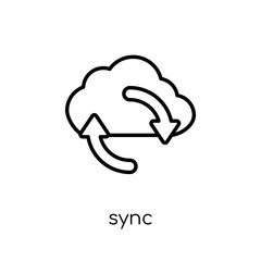 Sync icon. Trendy modern flat linear vector Sync icon on white background from thin line Internet Security and Networking collection