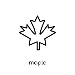 Maple icon. Trendy modern flat linear vector Maple icon on white background from thin line nature collection
