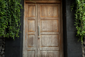 Wooden door in green plants