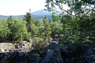 Nature Travel Landscape