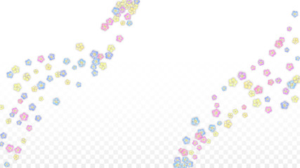 Vector Realistic Colorful Petals Falling on Transparent Background.  Spring Romantic Flowers Illustration. Flying Petals. Sakura Spa Design. Blossom Confetti. Design Elements for Wedding Decoration.