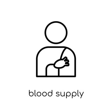 Blood Supply System icon. Trendy modern flat linear vector Blood Supply System icon on white background from thin line Human Body Parts collection