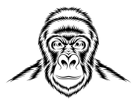 Vector image of a black gorilla on a white background.