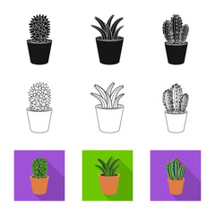 Isolated object of cactus and pot logo. Collection of cactus and cacti vector icon for stock.