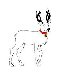 reindeer with big black horns and red collar with bell