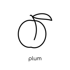 Plum icon from Fruit and vegetables collection.