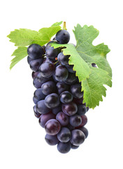 Grapes on a white background