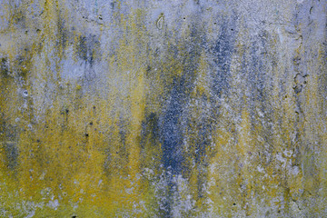Naklejka premium rough texture of a old gray yellow blue wall.