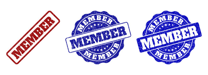 MEMBER grunge stamp seals in red and blue colors. Vector MEMBER labels with distress effect. Graphic elements are rounded rectangles, rosettes, circles and text labels.