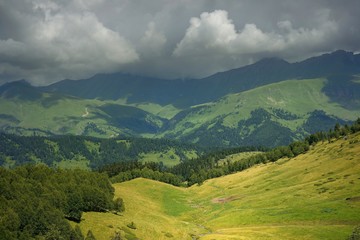 Obraz premium Summer